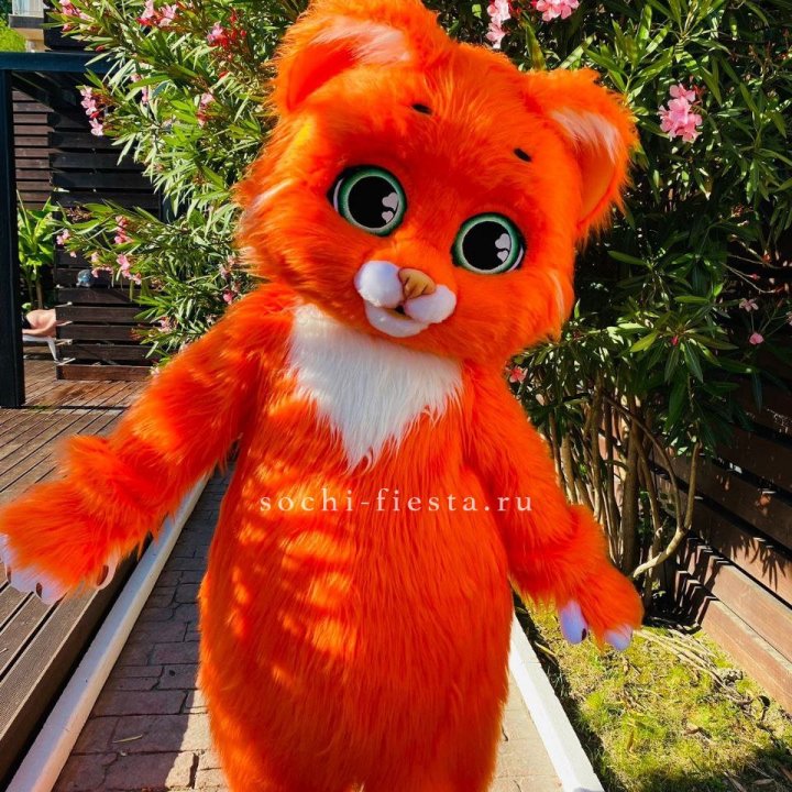 Аниматор Котик в Фетхие