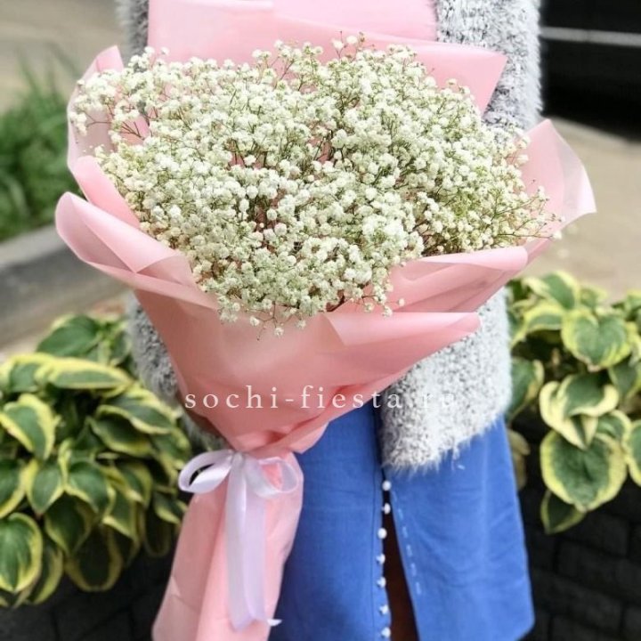 Белоснежные гипсофилы в Фетхие