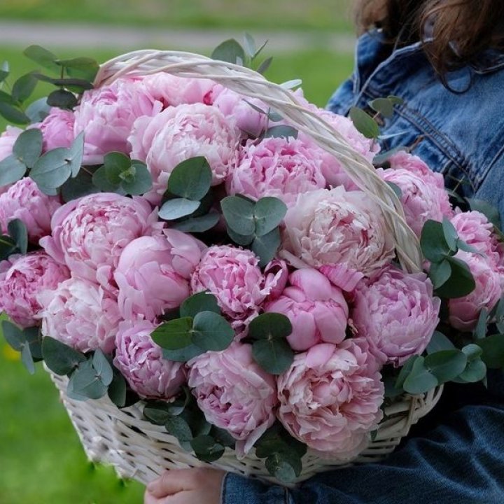 51 пион в корзине в Фетхие